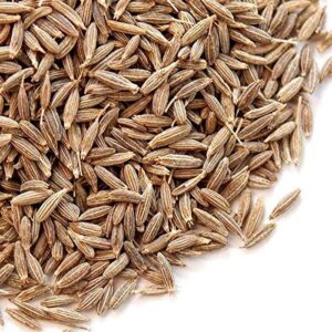 cumin seed