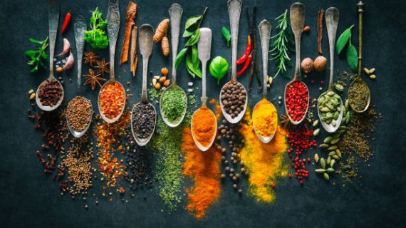 Colourful various herbs and spices for cooking on dark background